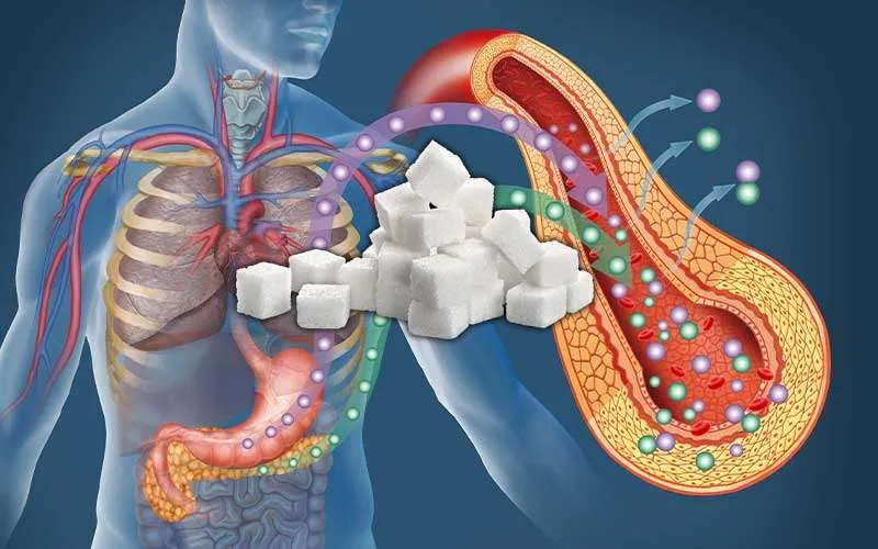 Diagram of a human body showing a blood vessel affected by sugar, illustrating the health impact for those addicted to sugar and how to stop the negative effects.