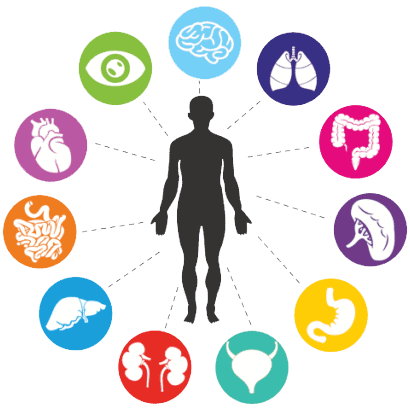 Human figure with labeled points highlighting key aspects of functional medicine, including gut health, hormonal balance, chronic inflammation, nutrition, lifestyle, and root cause analysis.