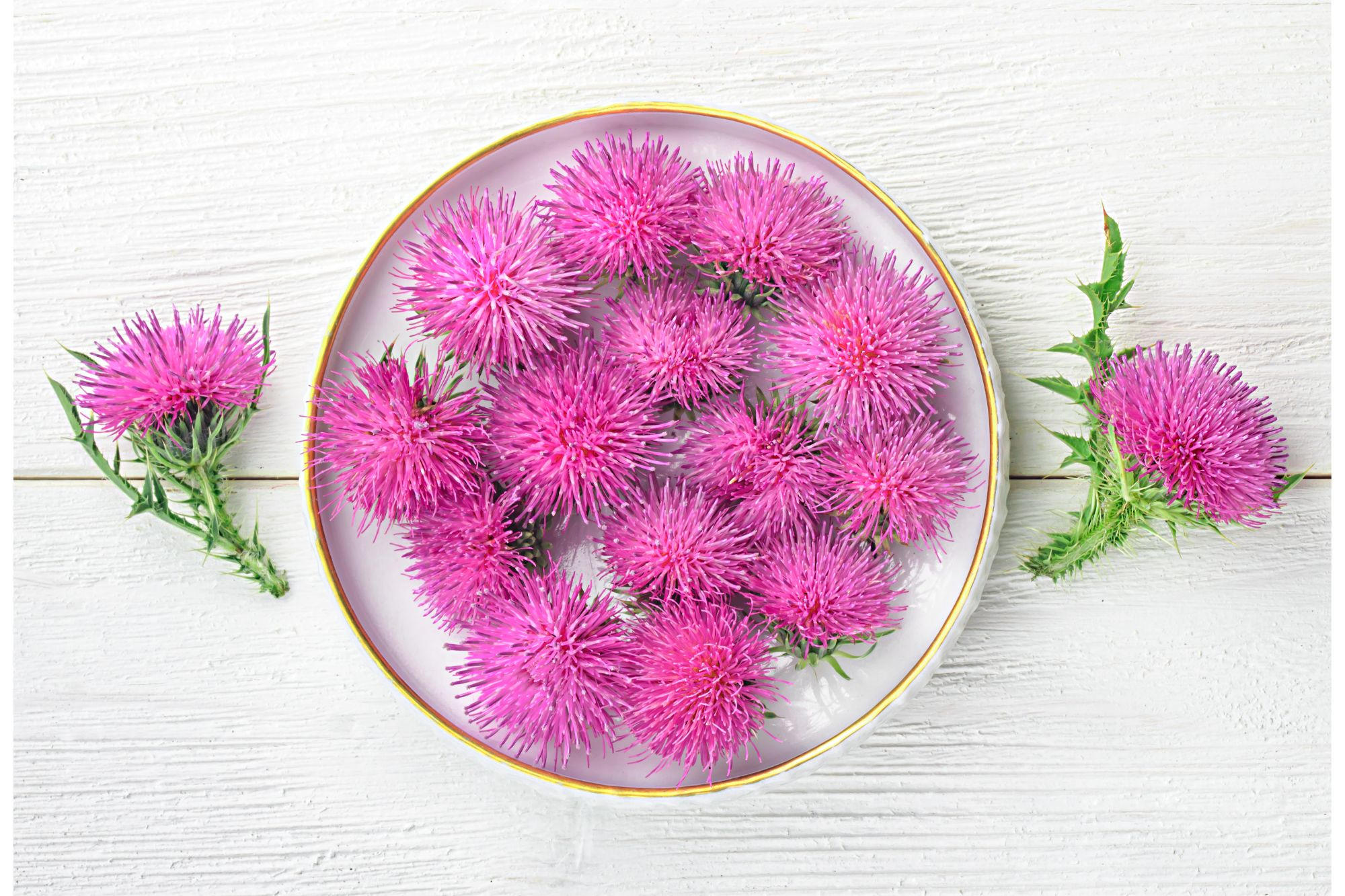Milk Thistle plant in a bowl, showcasing its liver-detoxifying properties and antioxidant benefits. A natural herbal remedy for liver health and wellness.