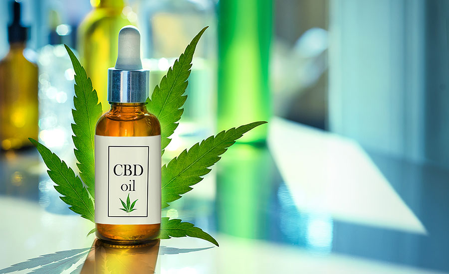 A CBD oil bottle with a dropper syringe resting on top, displayed with a fresh cannabis plant in the background, highlighting natural pain and anxiety relief.